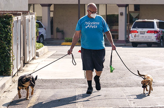 Monday morning hike gets furry friends out and about