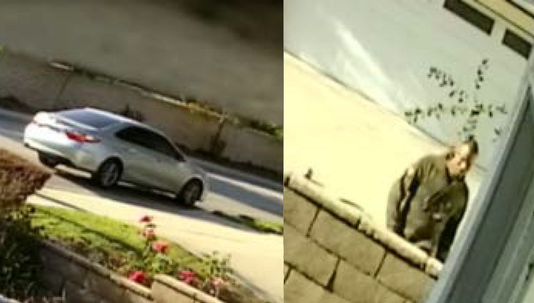 Claremont police search for burglary suspect