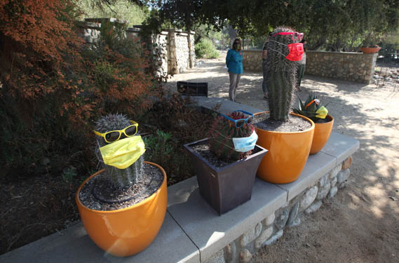 Botanic garden gets creative during virus times