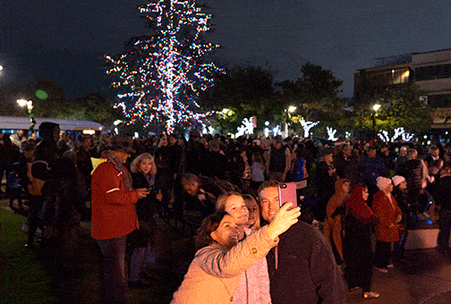 Holiday tree will be replaced this season