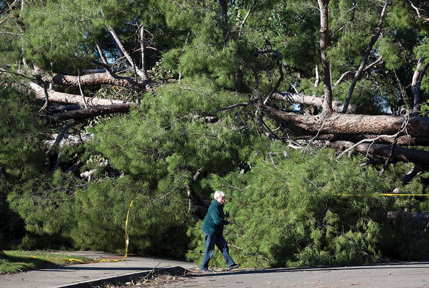 City to use emergency funds for windstorm clean up