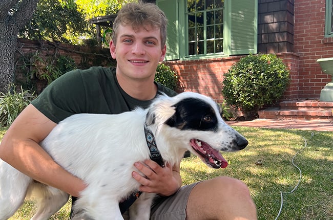 Bear makes it to his Claremont ‘forever home’