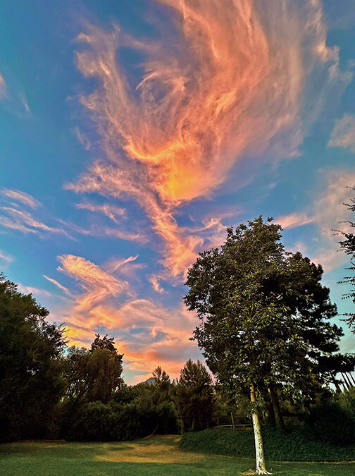 Fire in the sky