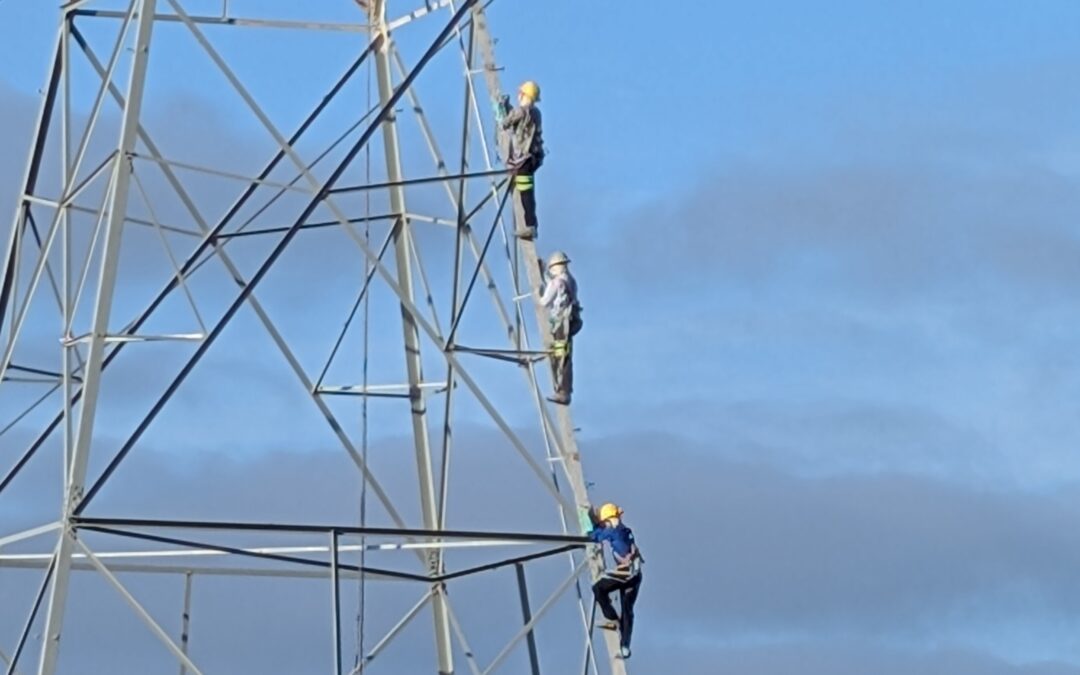 High wire act