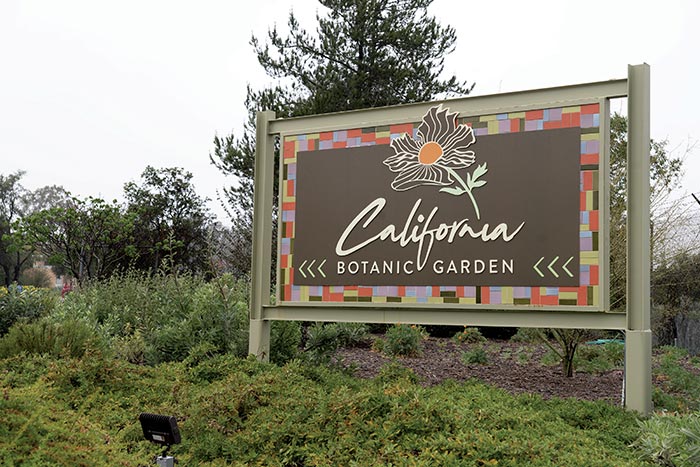 CalBG Native Plant Festival is Saturday