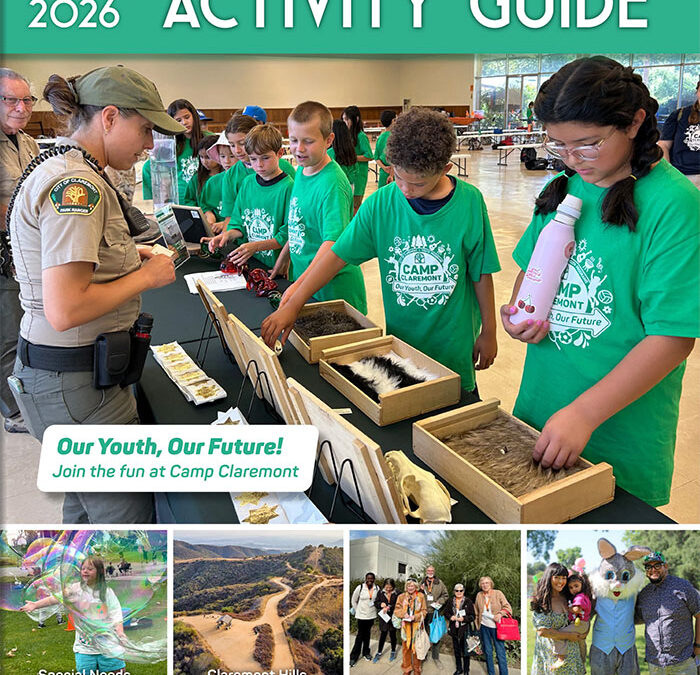 New city recreation guide out now
